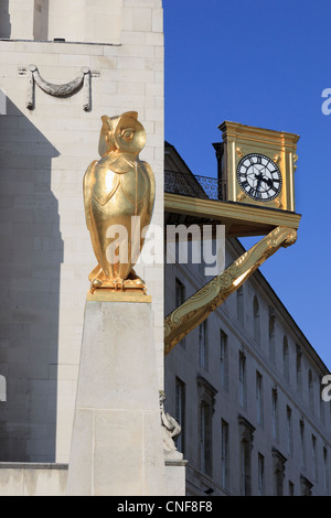 Goldene Eule Sculpure von John Thorp und gold Uhr auf der Civic Hall Gebäude im Millennium Square Leeds West Yorkshire England UK Stockfoto