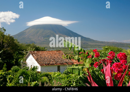 Nicaragua Isla Ometepe im Nicaragua-See Blick auf Vulcano Concepciòn aus üppigen Garten bei Kaffee-Farm Finca Magdalena Sonne Stockfoto
