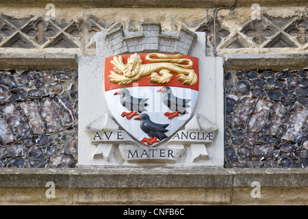 Canterbury Wappen der Löwe, der Arme von England, erinnert die Stadt Links mit Lizenzgebühren. Stockfoto