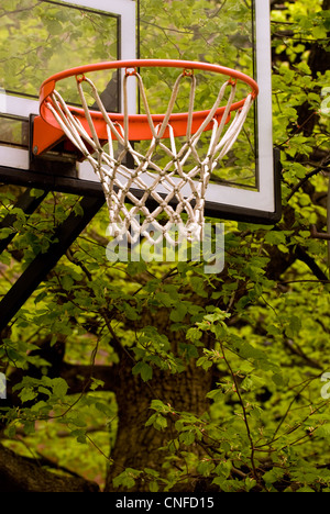 Hinterhof-Basketball-Ziel und Net mit Bäumen im Hintergrund. Stockfoto