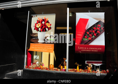 Bunte Schaufenster Fenster bedeckt Schokolade, Früchte, Blätter im Herbst, Kürbisse, essbare Arrangements, Nassau Street, New York Stockfoto