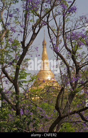 Goldene buddhistische Stupa, Anisakan, in der Nähe von Pyin U Lwin, Burma. Myanmar Stockfoto