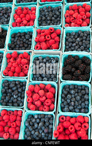 Sortiment an Beeren für den Verkauf auf dem Bauernmarkt in Santa Barbara Stockfoto