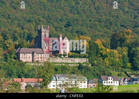 Die Mittelburg (Mittelschloss) in Neckarsteinach, Deutschland. Stockfoto