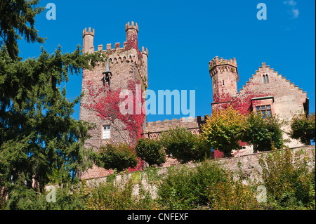 Die Mittelburg (Mittelschloss) in Neckarsteinach, Deutschland. Stockfoto