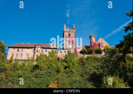 Die Mittelburg (Mittelschloss) in Neckarsteinach, Deutschland. Stockfoto