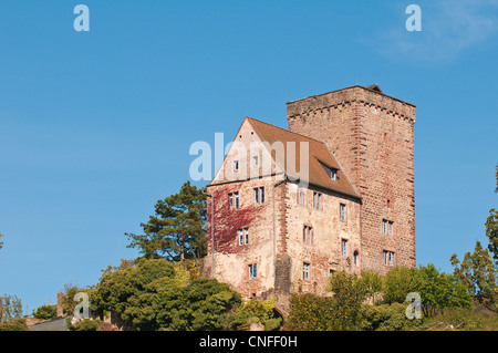 Vorderburg Burg am Hügel über Neckarsteinach, Deutschland. Stockfoto