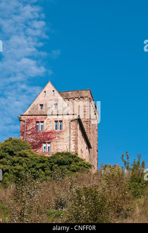 Vorderburg Burg am Hügel über Neckarsteinach, Deutschland. Stockfoto