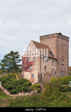 Vorderburg Burg am Hügel über Neckarsteinach, Deutschland. Stockfoto