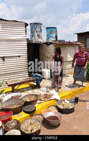 Familiengruppe im Township Soweto, Johannesburg, Provinz Gauteng, Südafrika Stockfoto