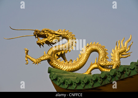 Dragon Sculture am Dach des chinesischen Tempel, Lashio. Lashio Guanyin Tempel, Lashio, Burma. Kuan Yin-San Stockfoto