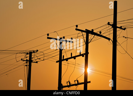 Telegrafenmasten und Telegraphendrähten bei Sonnenaufgang Stockfoto