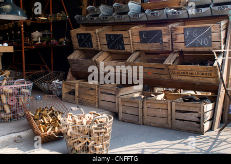 Antiquitäten zum Verkauf auf dem Flohmarkt in St. Ouen, Paris, Frankreich Stockfoto