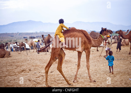 Kinder bei Pushkar Camel fair spielt Stockfoto