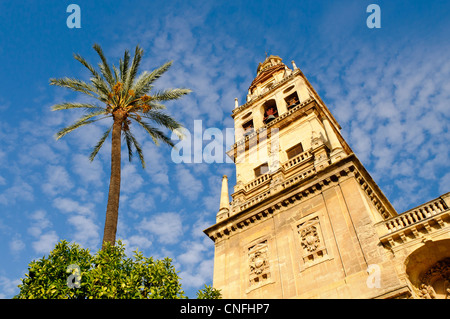 Blick auf das Bell Tower und ehemalige Minarett der Mezquita in Córdoba, Andalusien. Stockfoto