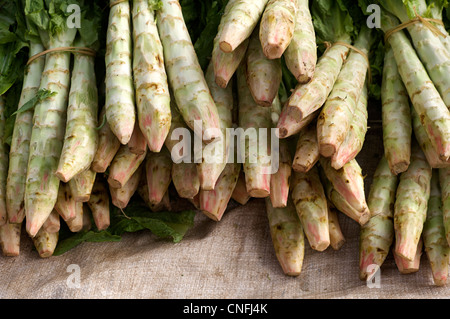 Grünes Gemüse zum Verkauf auf Markt, Hsipaw, Shan-Staat, Burma. Myanmar Stockfoto