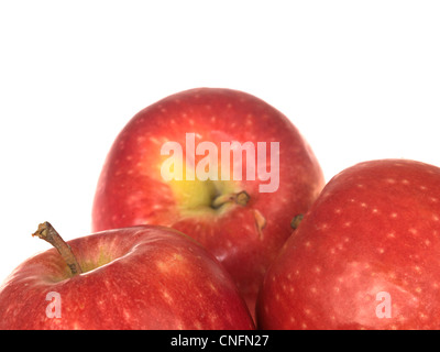 Pink Lady Äpfel Stockfoto