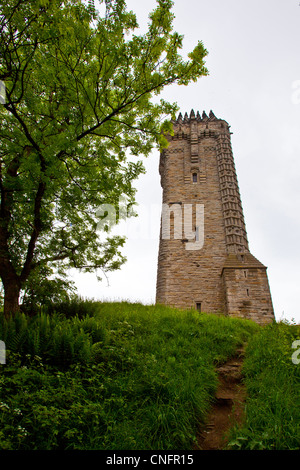 Das Wallace-Monument auf dem Gipfel des Abbey Craig in Sterling, Schottland Stockfoto