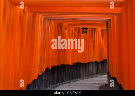 Der Tunnel und der Pfad der roten Torii Tore nach der inneren Schrein in Fushimi Inari-Taisha Schrein in Inari, in der Nähe von Kyoto, Japan. Stockfoto