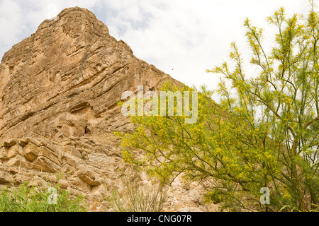 Santa Elena Canyon, Big Bend Nationalpark, TX Stockfoto