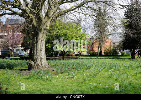 Peoples Park, Stadt Limerick, Limerick, Irland Stockfoto