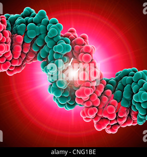 DNA-Molekül Kunstwerk Stockfoto