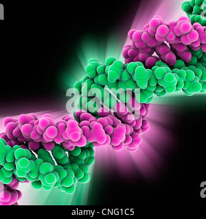DNA-Molekül Kunstwerk Stockfoto