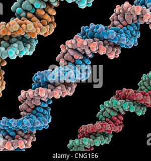 DNA-Moleküle Kunstwerk Stockfoto