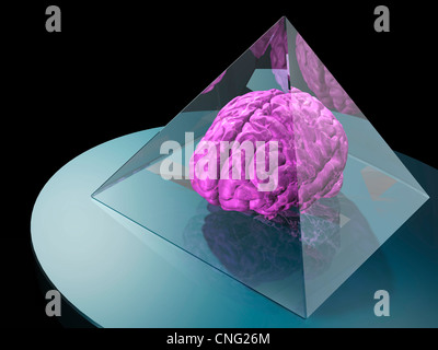 Gehirn in ein Kunstwerk Pyramide gefangen Stockfoto
