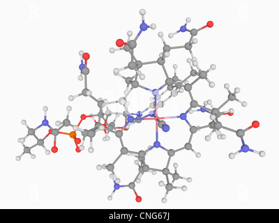 Vitamin B12 (Cobalamin)-Molekül Stockfoto