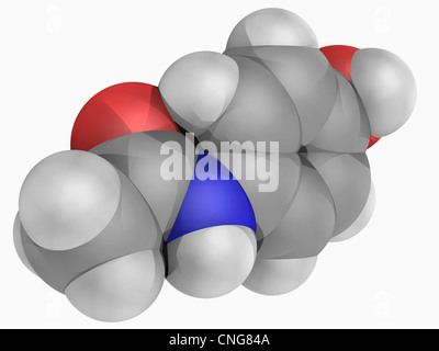Paracetamol-Wirkstoffmolekül Stockfoto