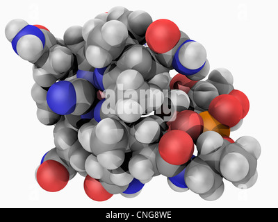 Vitamin B12 (Cobalamin)-Molekül Stockfoto