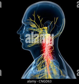 Nacken Schmerzen konzeptuellen Kunstwerk Stockfoto