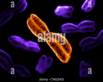 Chromosomen-Kunstwerk Stockfoto