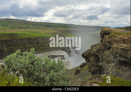 berühmten Wasserfall Gullfoss in Island Stockfoto