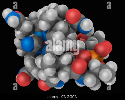 Vitamin B12 (Cobalamin)-Molekül Stockfoto