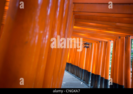 Der Tunnel und der Pfad der roten Torii Tore nach der inneren Schrein in Fushimi Inari-Taisha Schrein in Inari, in der Nähe von Kyoto, Japan. Stockfoto