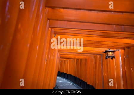 Der Tunnel und der Pfad der roten Torii Tore nach der inneren Schrein in Fushimi Inari-Taisha Schrein in Inari, in der Nähe von Kyoto, Japan. Stockfoto