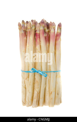 Haufen weißer Spargel mit violetten Spitzen isoliert auf einem weißen Hintergrund. Stockfoto