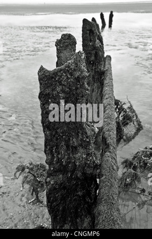 alten Buhne, Roggen, East Sussex Stockfoto