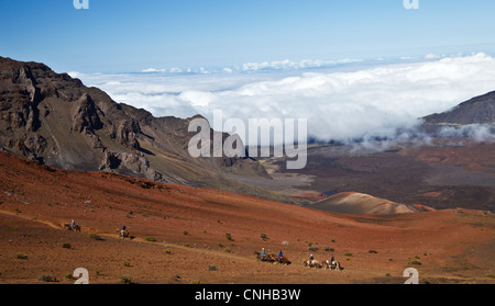 Reiter gehen auf die Sliding Sands Trail im Haleakala National Park auf Maui Stockfoto