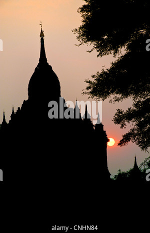 Silhouette Stupa bei Sonnenuntergang. Bagan. Zentrale Birma. Myanmar Stockfoto