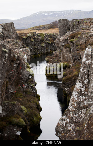 Zwischen einer Schlucht Nationalpark Thingvellir, Island anzeigen Stockfoto