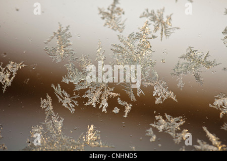 Frost in einem Fenster Stockfoto