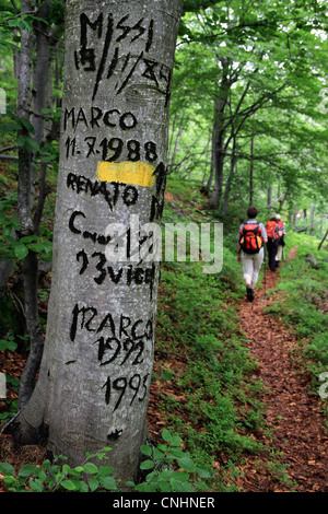 Namen und Geburtsdaten geschnitzt in einen Baum auf einem Wanderweg, Val Sangone, Italien Stockfoto
