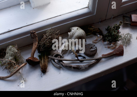 Verschiedene getrocknete Pflanzen und Artefakte auf dem Fensterbrett Stockfoto