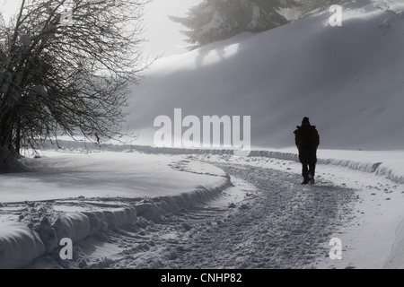 Einsamer Mann Schnee beladenen Weg Stockfoto