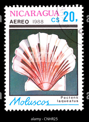 Briefmarke aus Nicaragua, Jakobsmuschel darstellen. Stockfoto