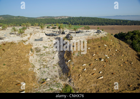 Luftaufnahme der archäologische Stätte von Tel MEDIGO in die Jezreel Senke Stockfoto