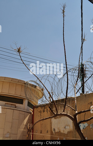 Besetzten Palästina Checkpoint Kreuzung, einer entmenschlichten Zone. Palästina übernommen die Apartheid-Mauer, Stacheldraht und Angst Stockfoto